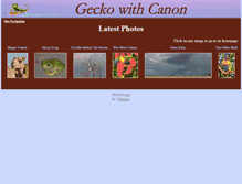 Tablet Screenshot of gecko.falfn.com